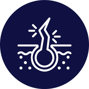Icon-05.png__PID:d89cf55e-d3f0-49db-8322-c5e54f0a1986