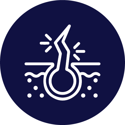 Icon-05.png__PID:d89cf55e-d3f0-49db-8322-c5e54f0a1986